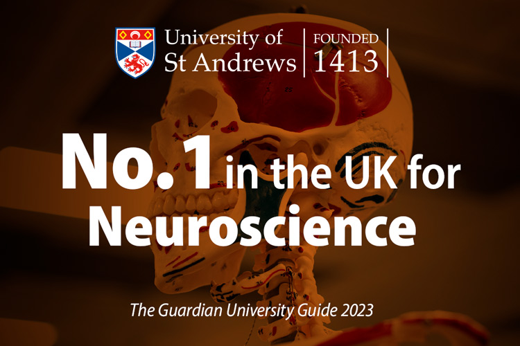 Skull with the words number one in neuroscience, Guardian university guide.
